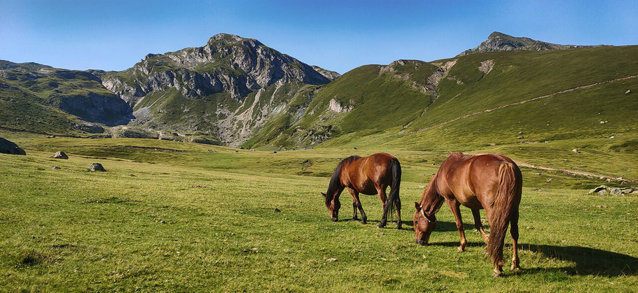 Góry Przeklęte - szlak Peaks of the Balkans. Doberdol, Albania.