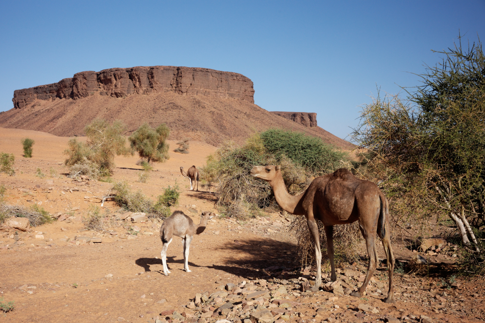 Mauretania – Sahara Szlakiem Karawan