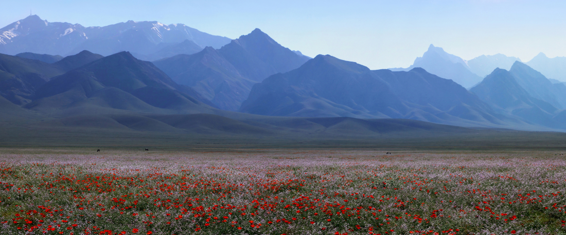 Uzbekistan i Tadżykistan – Góry Jedwabnego Szlaku – Informator