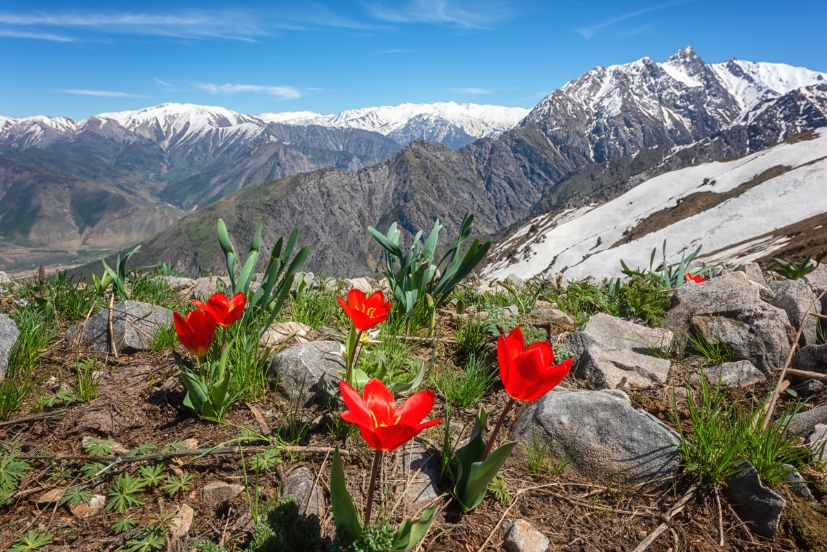 Uzbekistan – trekking