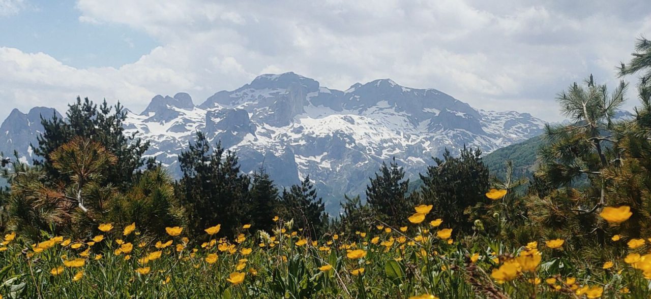 Zła Kołata - szlak na najwyższy szczyt Czarnogóry w Górach Przeklętych, Prokletije.